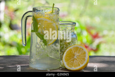 Le jus de sureau naturel avec du citron et sureau fleurs Banque D'Images