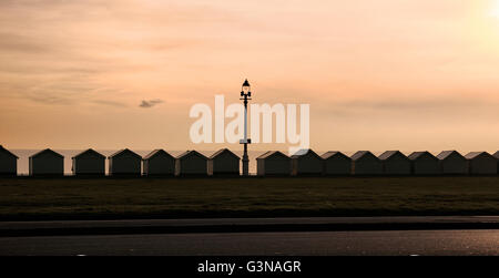 Cabines de plage sur le front de mer, Brighton & Hove, East Sussex, England, UK Banque D'Images