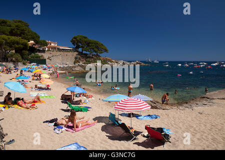 Plage de Calella de Palafrugell, Costa Brava, Catalogne, Espagne, Europe, PublicGround Banque D'Images