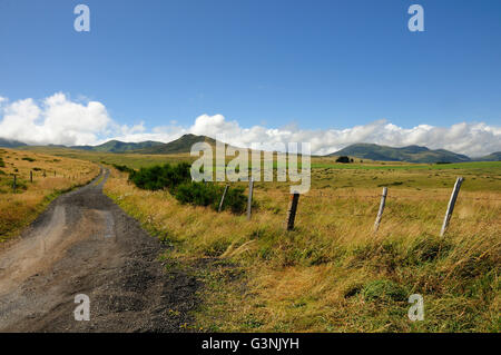 Vue sur le Massif du Sancy, le Parc National des Volcans d'Auvergne, Puy-de-Dôme, France, Europe Banque D'Images