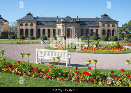 Orange house, Orangenhaus dans l'orangerie au printemps, Gotha, Thuringe Banque D'Images