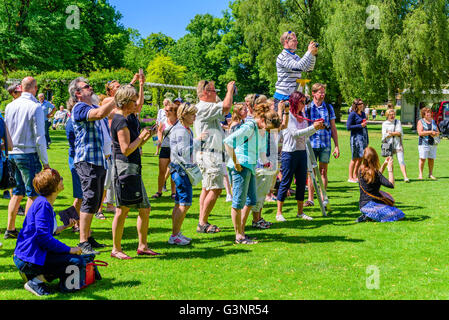 Ronneby, Suède - 6 juin 2016 : la fête nationale suédoise en parc public. Beaucoup de gens de prendre des photos lorsque le Banque D'Images