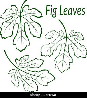 Branches de bambou et de feuilles Silhouettes Illustration de Vecteur