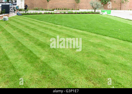 Man mowing lawn, Londres. Banque D'Images