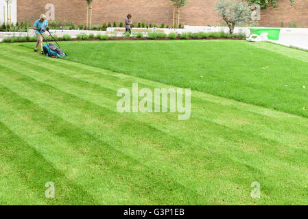 Man mowing lawn, Londres. Banque D'Images