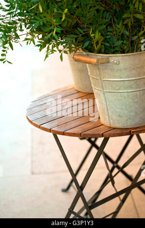 Plantes en pot sur une table en bois sur une terrasse Banque D'Images