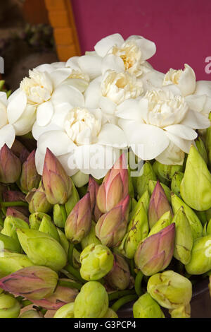 Sri Lanka, Kataragama, Maha Devale complexe, des fleurs de lotus à la vente pour les offres de temple Banque D'Images