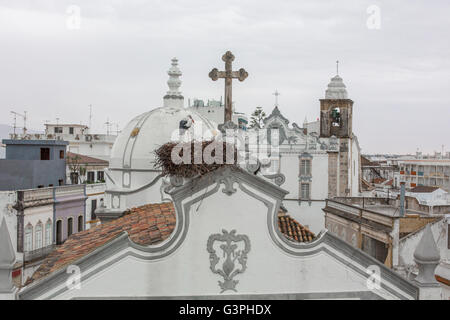 Dans le nid de cigognes sur le toit d'une église, Olhao, Faro, Algarve, Portugal, Europe, UNION EUROPÉENNE Banque D'Images