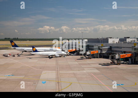 L'avion de Lufthansa à l'entrée, Airbus A320-200 et Airbus A340-300, l'aéroport de Düsseldorf, Rhénanie Banque D'Images