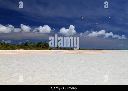 Les oiseaux et les nuages gonflés sur lagon, l'île Christmas, Kiribati Banque D'Images