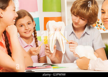 Quatre adolescents d'étudier la structure de la dent en classe Banque D'Images