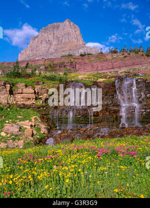 USA, Montana, le parc national des Glaciers, Monkeyflower et arnica fleurs sur Logan près de waterfall Creek sous Clements Mountain. Banque D'Images