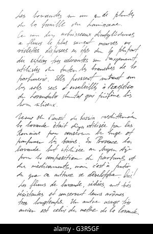 Undefined texte avec mots français. Lettre manuscrite. L'écriture. La calligraphie. Manuscrit. Script. Police. Texture abstrait backg Banque D'Images