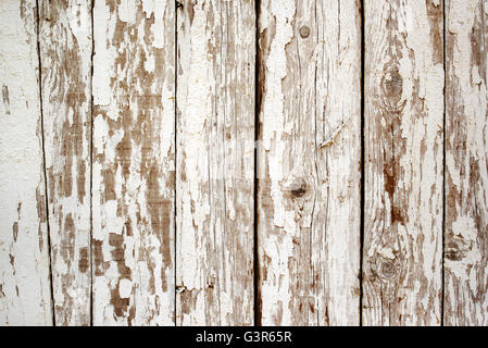 D'écaillage de la peinture blanche sur le mur en bois, planches de bois texture obsolètes Banque D'Images