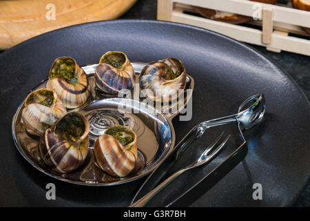 Escargots préparés avec de l'ail et le persil dans la plaque noire Banque D'Images