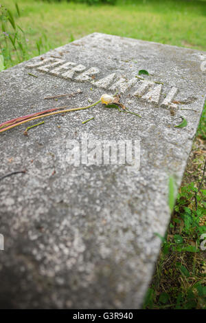 Antal Szerb, vue sur la tombe du romancier et écrivain hongrois Antal Szerb dans le cimetière de Kerepesi, dans la région de Jozsefvaros à Budapest, en Europe. Banque D'Images