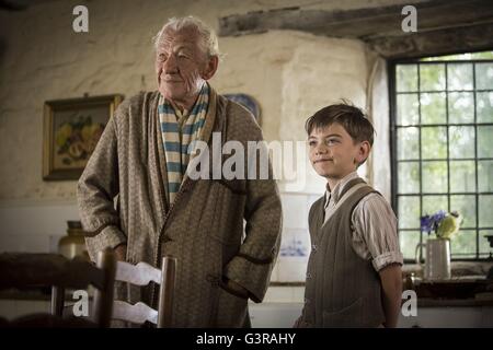 M. Holmes Année : 2015 UK / USA / Japon Réalisateur : Bill Condon Ian McKellen, Milo Parker Banque D'Images