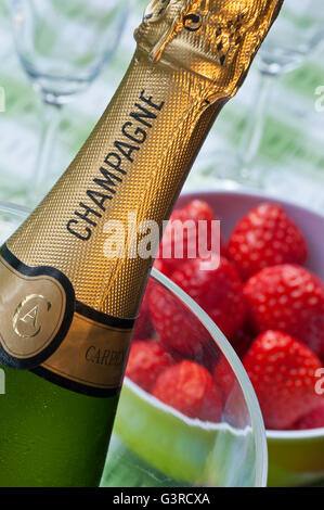 Fermer la vue sur la bouteille de champagne dans le vin refroidisseur avec bol de fraises fraîches et verres sur une table de pique-nique en plein air Banque D'Images