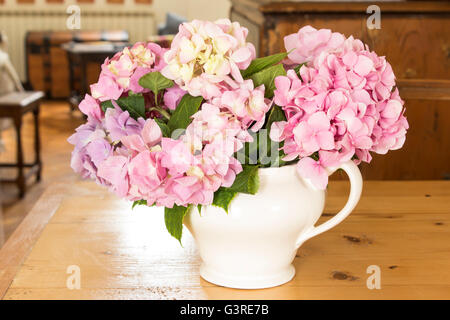 L'Hydrangea fleurs sur une table dans le salon. Banque D'Images