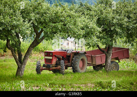 Vieux tracteur avec remorque dans le verger de pommiers Banque D'Images