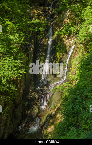 Une vue de la magnifique cascade de Stock Ghyll vigueur à Ambleside, le Lake District. Banque D'Images