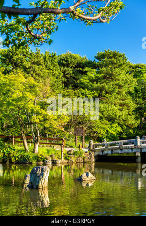 Parc Maruyama à Kyoto, Japon Banque D'Images