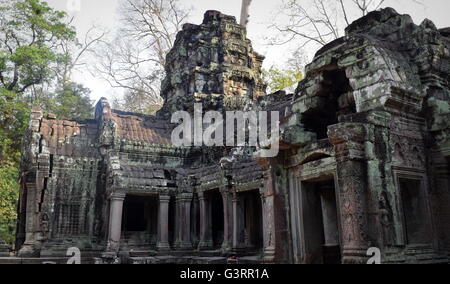 Ta Prohm temple bouddhiste sacrée à Angkor, l'ancienne capitale de l'ancien empire Khmer au Cambodge Banque D'Images