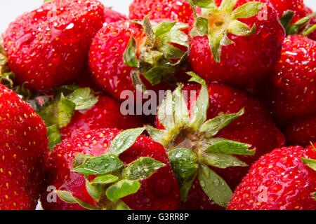 - Fraises mûres fraîches plein cadre - fraise parfait d'arrière-plan de l'alimentation Banque D'Images