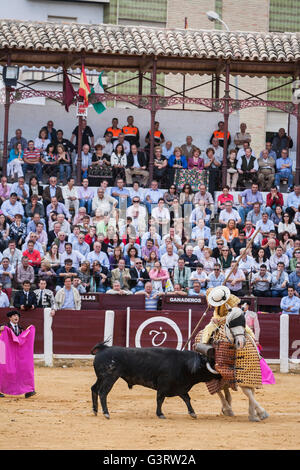Torero Picador, lancer dont le travail est d'affaiblir les muscles du cou du taureau dans les arènes, fo Ubeda, Espagne, province de Jaén Banque D'Images