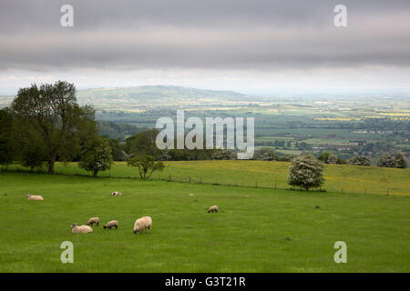 Vue sur la vallée d'Evesham de Broadway Tower Country Park, Broadway, Cotswolds, Worcestershire, Angleterre, Royaume-Uni Banque D'Images