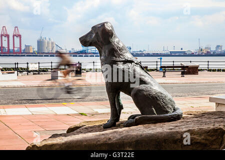 Une image d'un chien en bronze trône fièrement à l'extérieur de New Brighton's Floral Pavilion Theatre - travail de pionnier de Wallasey signifiante dans la mise en place de la célèbre ville de chiens guides d'Aveugles Association. New Brighton, Wallasey, le Wirral, Merseyside, Liverpool, Royaume-Uni Banque D'Images