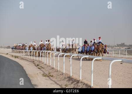L'exercice de chameaux à l'Hippodrome de chameau, Al-Shahaniya, au Qatar. Banque D'Images