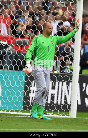 Gabor Kiraly (Hongrie) ; 14 juin 2016 - Football : UEFA Euro France 2016, Groupe F, l'Autriche 0-2 la Hongrie au Nouveau Stade de Bordeaux, Bordeaux, France. Credit : aicfoto/AFLO/Alamy Live News Banque D'Images