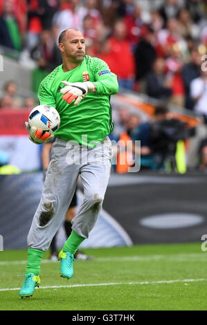 Gabor Kiraly (Hongrie) ; 14 juin 2016 - Football : UEFA Euro France 2016, Groupe F, l'Autriche 0-2 la Hongrie au Nouveau Stade de Bordeaux, Bordeaux, France. Credit : aicfoto/AFLO/Alamy Live News Banque D'Images