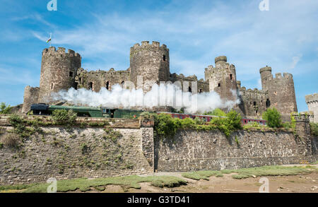 Conwy, Nord du Pays de Galles, Royaume-Uni. 15 Juin, 2016. L'étonnante flying scotsman loco de vapeur passe par Château de Conwy le 15 juin 2016 Crédit : Darren Turner/Alamy Live News Banque D'Images