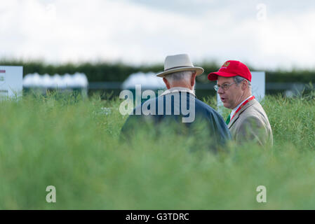 Chrishall Grange, près de Duxford Cambridgeshire UK 15 juin 2016. Les agriculteurs et les spécialistes de l'industrie des céréales, 2016 assister à la plus grande foire commerciale pour l'industrie de l'agriculture. Autour de 25000 personnes sont attendues pour visiter l'exposition au cours des deux prochains jours. Il y a des affiche de l'équipement, y compris les tracteurs, pulvérisateurs, semoirs et stands de services aux entreprises agricoles connexes Crédit : Julian Eales/Alamy live news Crédit : Julian Eales/Alamy Live News Banque D'Images