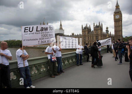 Londres, Royaume-Uni. 15 Juin, 2016. Comme une flottille de bateaux de pêche sur la Tamise arriver en dehors du Parlement, les manifestants se rassemblent pour les encourager dans le cadre de la campagne de laisser voter, de faire l'affaire pour Brexit référendum dans l'UE le 15 juin à Londres, Royaume-Uni. La flottille a été organisée par les patrons écossais dans le cadre de la campagne de pêche d'autorisation qui est contre la réglementation européenne de l'industrie de la pêche, et de la PCP Politique commune de la pêche. Crédit : Michael Kemp/Alamy Live News Banque D'Images