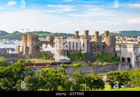 The Flying Scotsman Steam Train passant la forteresse médiévale du Château de Conwy sur une soirée d'été avec la carrioles comme il passe le château, Conwy, Pays de Galles, Royaume-Uni Banque D'Images