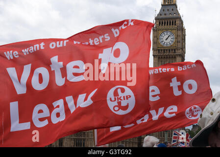Londres, Royaume-Uni. 15 Juin, 2016., bannière de l'UKIP par les partisans de Westminster Bridge durant la campagne d'autorisation manifestation sur la Tamise Crédit : Ian Davidson/Alamy Live News Banque D'Images