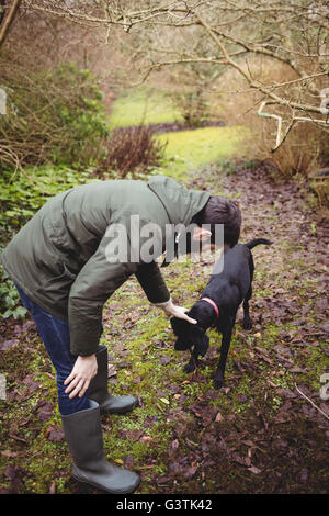 Homme hipster attrayant de caresser son chien Banque D'Images