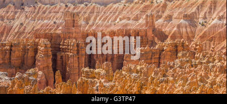 Close up panorama de l'amphithéâtre de Bryce Canyon National Park, Utah, USA Banque D'Images