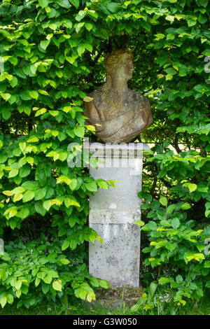 Un buste de pierre sur un socle dans un jardin d'été couverture hêtre Holker Hall Banque D'Images