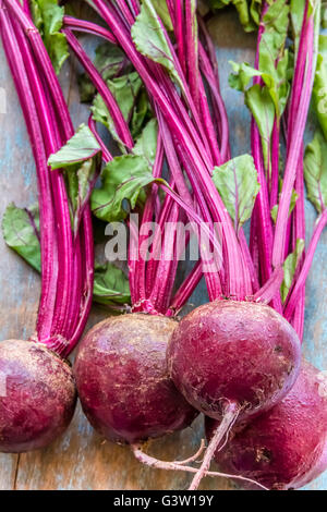 Betteraves fraîches avec feuilles gros plan vertical photo Banque D'Images