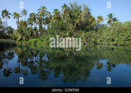 Vues de l'île de Hawaii, Kiholo Bay, Hawaii, USA Banque D'Images