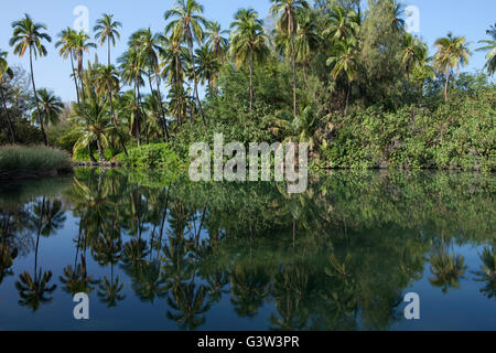 Vues de l'île de Hawaii, Kiholo Bay, Hawaii, USA Banque D'Images