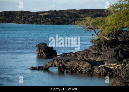 Vues de l'île de Hawaii, Kiholo Bay, Hawaii, USA Banque D'Images