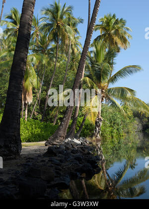 Vues de l'île de Hawaii, Kiholo Bay, Hawaii, USA Banque D'Images