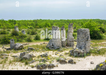 Pobiti Kamani, connue comme la forêt de pierre ,repère naturel dans un lieu puissant et sacré depuis l'antiquité, Varna, Bulgaria Banque D'Images