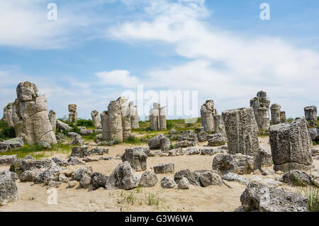 Pobiti Kamani, connue comme la forêt de pierre ,repère naturel dans un lieu puissant et sacré depuis l'antiquité, Varna, Bulgaria Banque D'Images