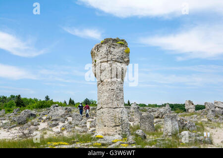 Pobiti Kamani, connue comme la forêt de pierre ,repère naturel dans un lieu puissant et sacré depuis l'antiquité, Varna, Bulgaria Banque D'Images